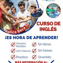 Clases online en vivo